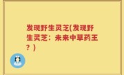 发现野生灵芝(发现野生灵芝：未来中草药王？)