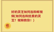 好的灵芝如何选购呢视频(如何选购优质的灵芝？视频教你！)