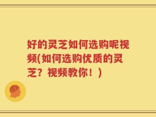 好的灵芝如何选购呢视频(如何选购优质的灵芝？视频教你！)