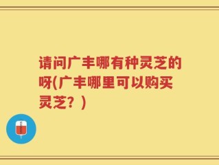 请问广丰哪有种灵芝的呀(广丰哪里可以购买灵芝？)