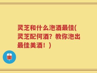 灵芝和什么泡酒最佳(灵芝配何酒？教你泡出最佳美酒！)