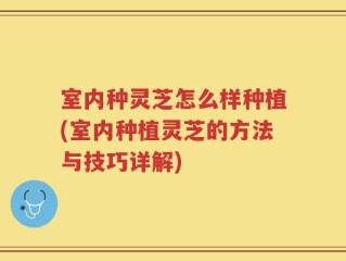 室内种灵芝怎么样种植(室内种植灵芝的方法与技巧详解)