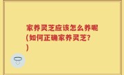 家养灵芝应该怎么养呢(如何正确家养灵芝？)