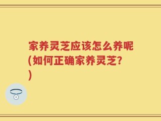 家养灵芝应该怎么养呢(如何正确家养灵芝？)
