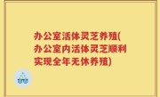 办公室活体灵芝养殖(办公室内活体灵芝顺利实现全年无休养殖)