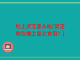 地上灵芝怎么吃(灵芝放在地上怎么食用？)