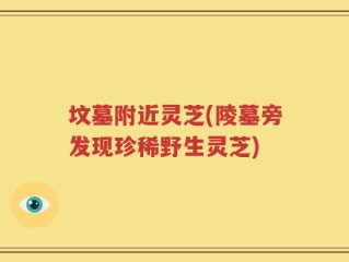 坟墓附近灵芝(陵墓旁发现珍稀野生灵芝)