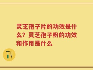 灵芝孢子片的功效是什么？灵芝孢子粉的功效和作用是什么