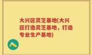 大兴区灵芝基地(大兴区打造灵芝基地，打造专业生产基地)