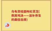 乌龟煲桂圆枸杞灵芝(燕窝鸡汤——滋补养生的最佳选择)