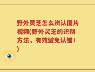野外灵芝怎么辨认图片视频(野外灵芝的识别方法，有效避免认错！)