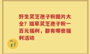 野生灵芝孢子粉图片大全？瑞草灵芝孢子粉一百元福利，都有哪些福利活动