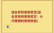 适合养的宠物灵芝(适合家养的宠物灵芝：小巧便捷的宠物伴侣)