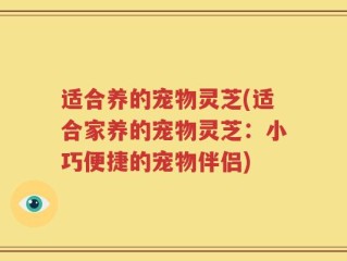 适合养的宠物灵芝(适合家养的宠物灵芝：小巧便捷的宠物伴侣)