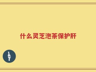 什么灵芝泡茶保护肝