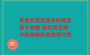 家里的灵芝孢子粉能否用于种植 探究灵芝孢子粉种植的家庭可行性