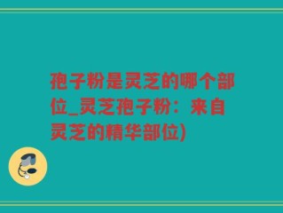 孢子粉是灵芝的哪个部位_灵芝孢子粉：来自灵芝的精华部位)