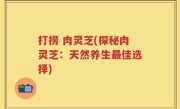打捞 肉灵芝(探秘肉灵芝：天然养生最佳选择)