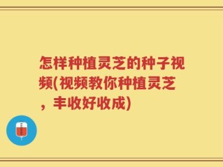 怎样种植灵芝的种子视频(视频教你种植灵芝，丰收好收成)