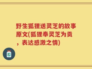野生狐狸送灵芝的故事原文(狐狸奉灵芝为贡，表达感激之情)