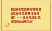 陵波村灵芝基地在哪里(陵波村灵芝基地在哪里？——寻找陵波村灵芝基地的所在地)