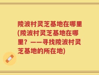 陵波村灵芝基地在哪里(陵波村灵芝基地在哪里？——寻找陵波村灵芝基地的所在地)