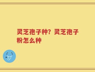 灵芝孢子种？灵芝孢子粉怎么种
