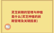 灵芝前期的管理与种植是什么(灵芝种植的前期管理及关键因素)