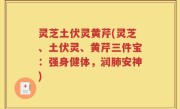 灵芝土伏灵黄芹(灵芝、土伏灵、黄芹三件宝：强身健体，润肺安神)