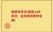 崖壁采灵芝(崖壁上的灵芝：自然界的神奇宝藏)