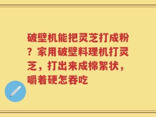 破壁机能把灵芝打成粉？家用破壁料理机打灵芝，打出来成棉絮状，嚼着硬怎吞吃