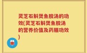 灵芝石斛煲鱼胶汤的功效(灵芝石斛煲鱼胶汤的营养价值及药膳功效)
