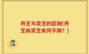 丹芝与灵芝的区别(丹芝和灵芝有何不同？)