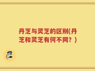 丹芝与灵芝的区别(丹芝和灵芝有何不同？)