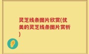 灵芝线条图片欣赏(优美的灵芝线条图片赏析)