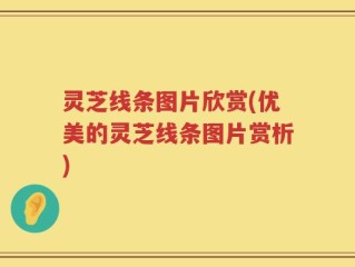 灵芝线条图片欣赏(优美的灵芝线条图片赏析)