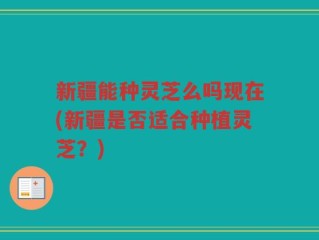 新疆能种灵芝么吗现在(新疆是否适合种植灵芝？)