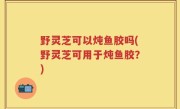 野灵芝可以炖鱼胶吗(野灵芝可用于炖鱼胶？)