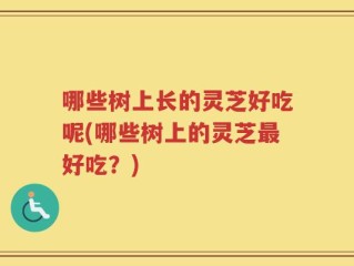 哪些树上长的灵芝好吃呢(哪些树上的灵芝最好吃？)