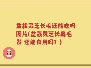 盆栽灵芝长毛还能吃吗图片(盆栽灵芝长出毛发 还能食用吗？)