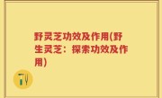 野灵芝功效及作用(野生灵芝：探索功效及作用)