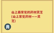 山上最常见的药材灵芝(山上常见药材——灵芝)