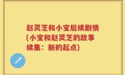 赵灵芝和小宝后续剧情(小宝和赵灵芝的故事续集：新的起点)