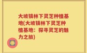 大坡镇林下灵芝种植基地(大坡镇林下灵芝种植基地：探寻灵芝的魅力之旅)