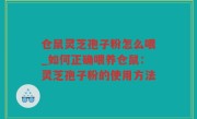 仓鼠灵芝孢子粉怎么喂_如何正确喂养仓鼠：灵芝孢子粉的使用方法