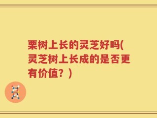 栗树上长的灵芝好吗(灵芝树上长成的是否更有价值？)