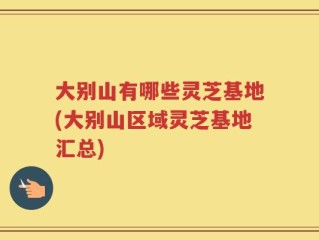 大别山有哪些灵芝基地(大别山区域灵芝基地汇总)