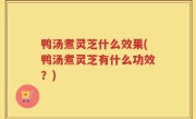 鸭汤煮灵芝什么效果(鸭汤煮灵芝有什么功效？)