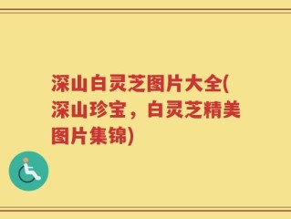 深山白灵芝图片大全(深山珍宝，白灵芝精美图片集锦)