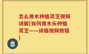 怎么用木种植灵芝视频讲解(如何用木头种植灵芝——详细视频教程)